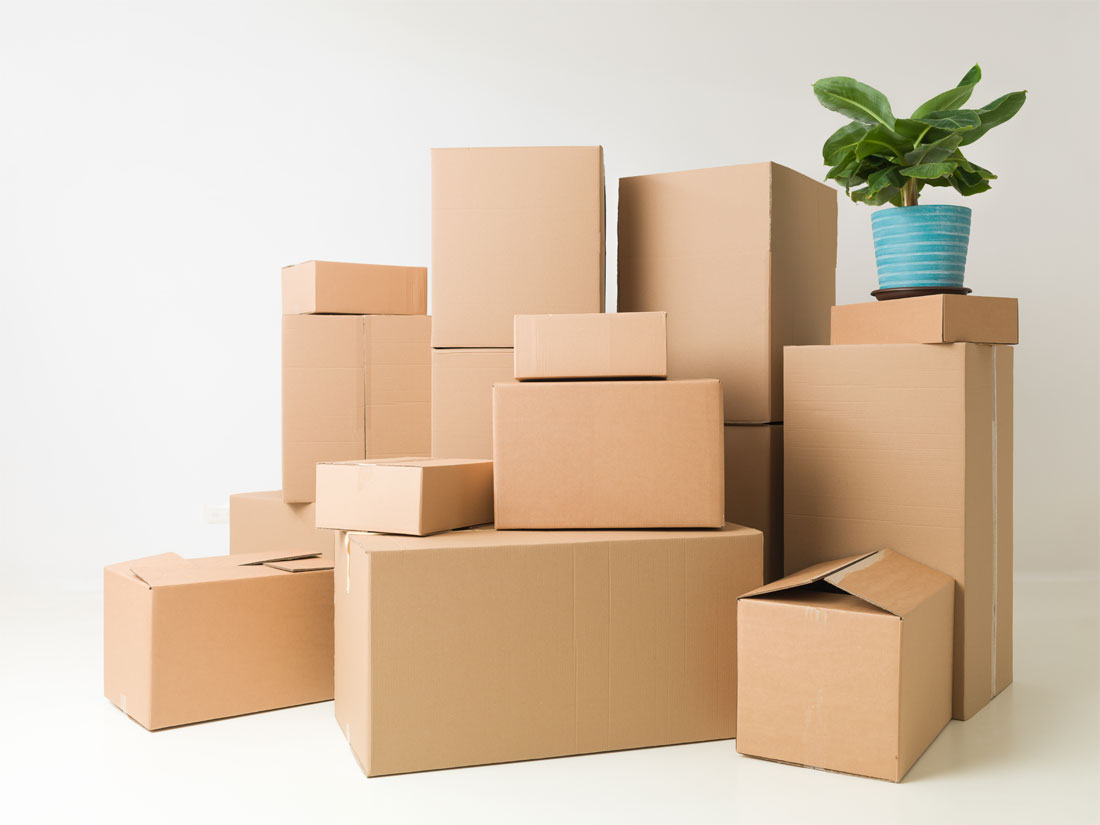 boxes